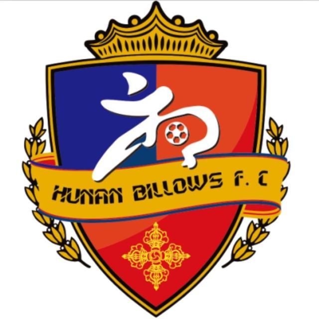 开云官方下载-湖南湘涛官方：正式退出中国足球职业联赛舞台